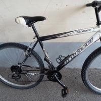 MTB  26"