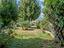 Immagine 16