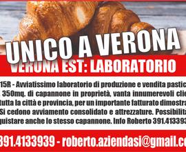 AziendaSi - laboratorio pasticceria no bar