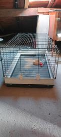 Gabbia per roditori 
