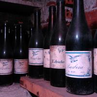 Vino antico langhe e roero  da distillare