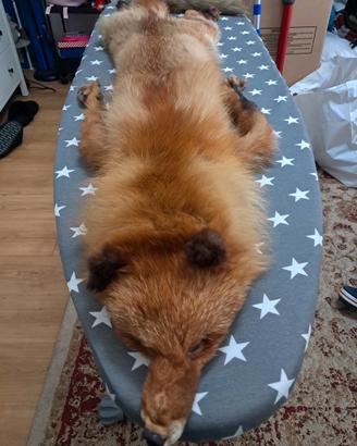 Colletto in vera pelliccia di volpe 