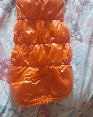 bomberino arancio