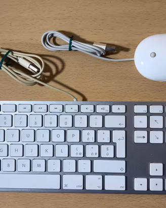 Apple Wired Keyboard + Mighty Mouse
