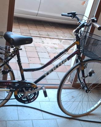 bicicletta da donna