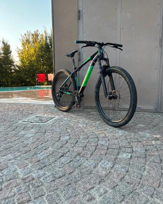 Bici Montain bike