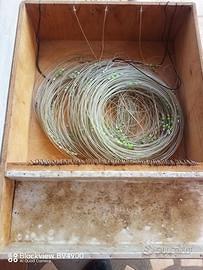 Se vuoi pescare compra il palamito