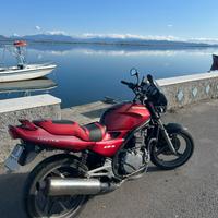 Kawasaki ER5 500 cc 50 cv '01