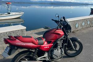 Kawasaki ER5 500 cc 50 cv '01