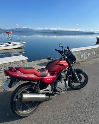 Kawasaki ER5 500 cc 50 cv '01