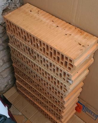 mattoni forati 50 x 20 x 10