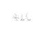 Immagine 16