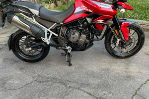 Triumph Tiger 900 gt Pro