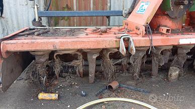 Rotante sirio ortolan