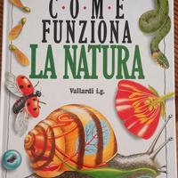 Come funziona la natura-libro illustrato ragazzi