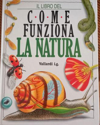 Come funziona la natura-libro illustrato ragazzi
