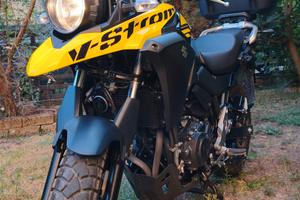 Suzuki v-strom dl 250