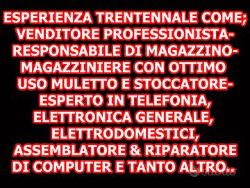 Venditore Elettronica, Cassiere, Commesso