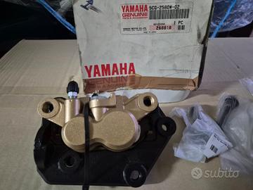 Pinza pesteriore completa