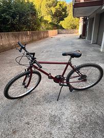 Mountain bike 26’’ Padova