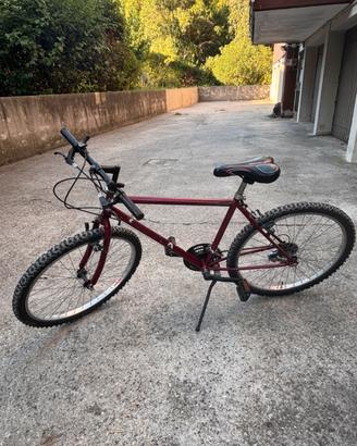 Mountain bike 26’’ Padova