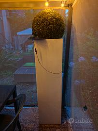 Vaso 180cm
