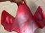 Immagine 4