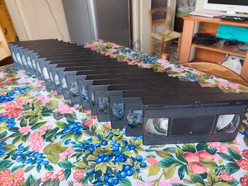 VHS vergini da 120 minuti