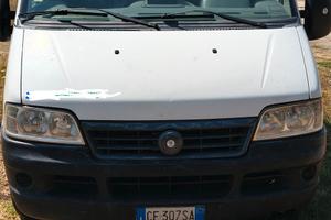fiat ducato maxi 