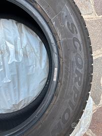 Gomme neve Pirelli scorpio