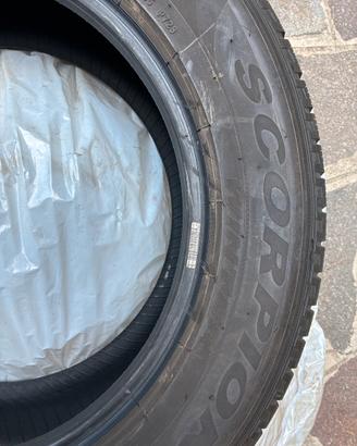 Gomme neve Pirelli scorpio