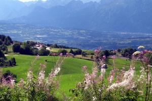 Baita S. Anna di Tambre