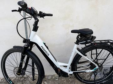 E-bike qualita tedesca -  marchio Pegasus
