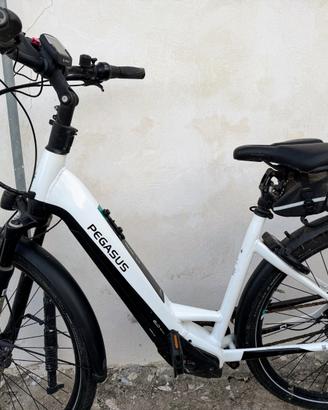 E-bike qualita tedesca -  marchio Pegasus