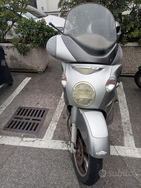 Scarabeo 500