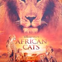 Album figurine africa cats 2011 panini