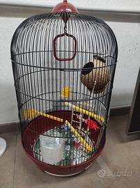 Gabbia uccelli
