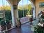 Immagine 7