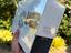 Immagine 6