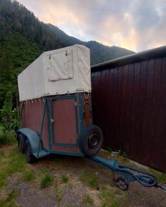 Trailer 1 posto