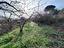 Immagine 9