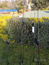 canne da pesca carpfishing