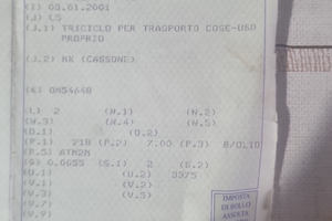 Ape 73 tm tenuta bene