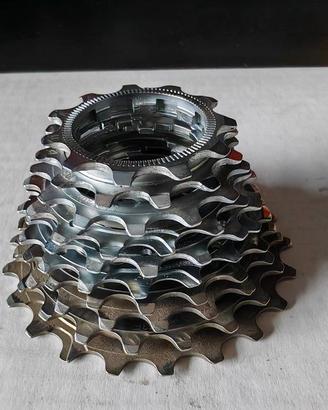 Pignoni campagnolo record titanio superleggeri