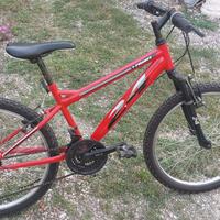 biciletta mtb 