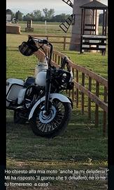 harley davidson Road king 2007