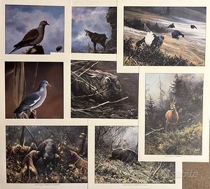 Stampe di fauna selvatica