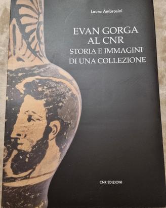 Evan Gorga al CNR – Laura Ambrosini
