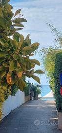 POSIZIONE PRIVILEGIATA pochi passi dalla spiaggia