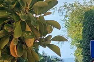 POSIZIONE PRIVILEGIATA pochi passi dalla spiaggia